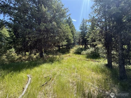 135 Slippery Hill Ln, Republic, WA, 99166 | Card Image
