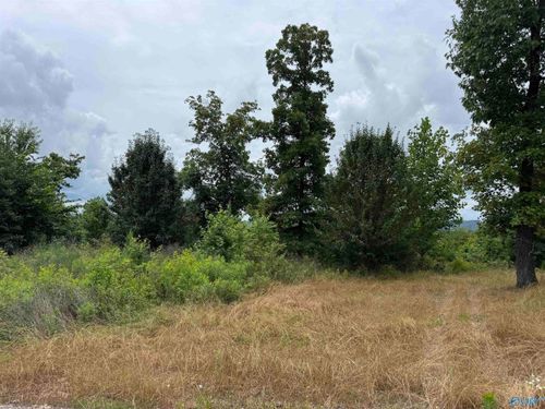 75 Vista Trl, Gadsden, AL, 35907 | Card Image