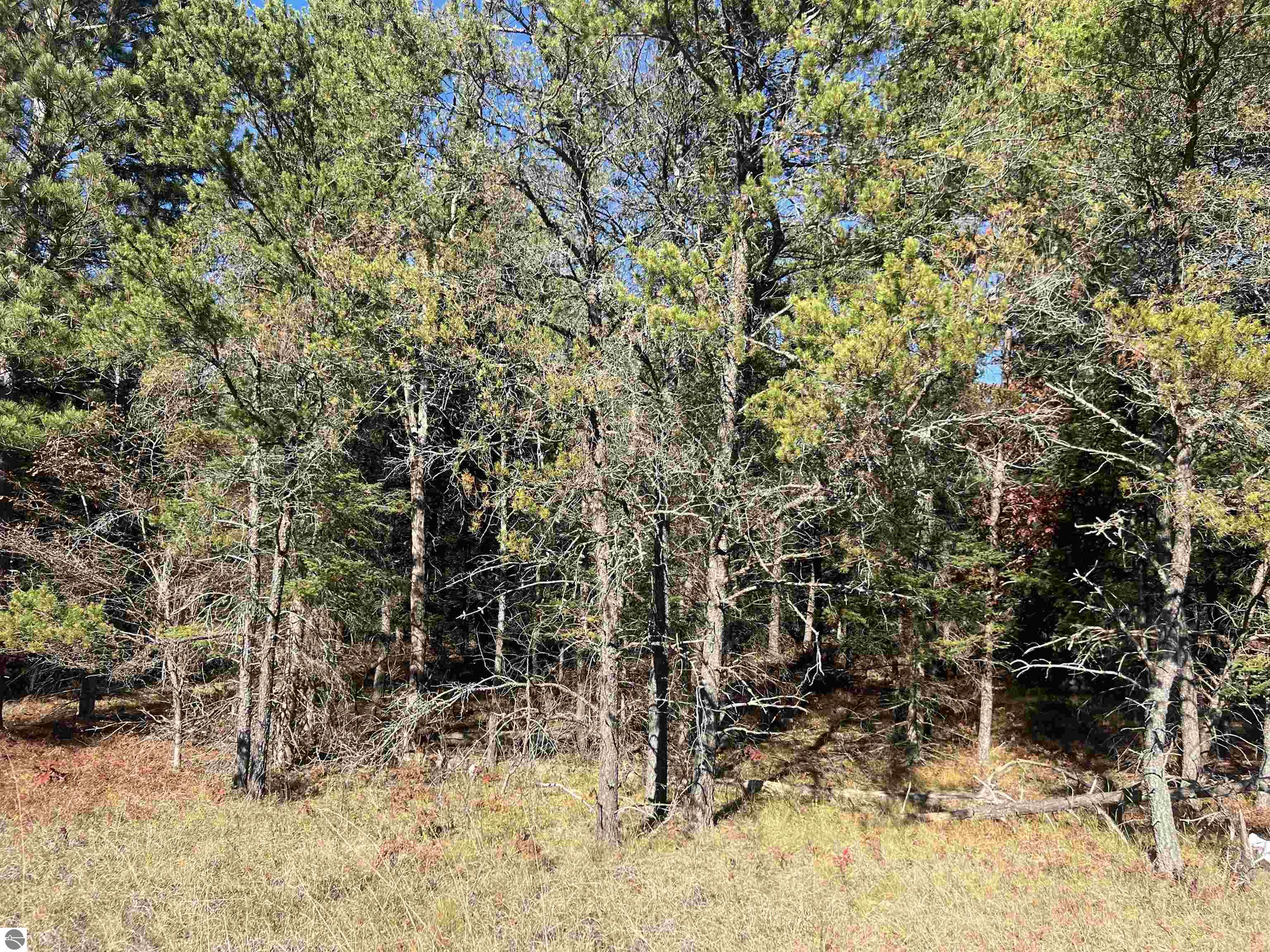 Land in Grayling 5