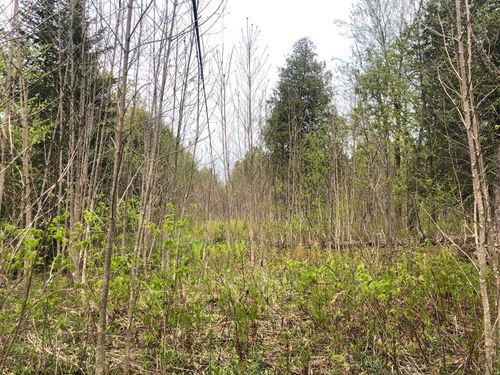 200 Harrington Rd, Greensboro, VT, 05841 | Card Image