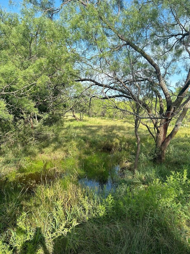 South Fence Line of 20+- Acres | Image 7