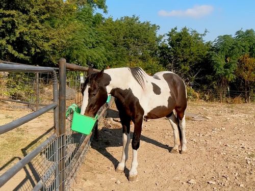 525 Brazos Hills Dr, Weatherford, TX, 76087-6646 | Card Image