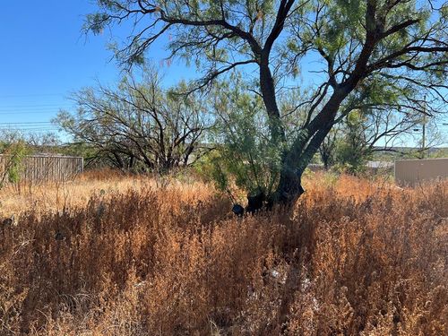 2402 S Monticello St, Big Spring, TX, 79720-5145 | Card Image