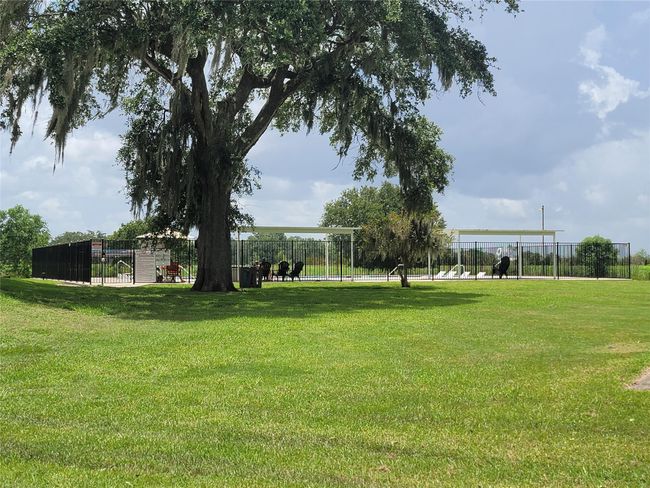 000 Apache Trl, Home with 0 bedrooms, 0 bathrooms and null parking in Angleton TX | Image 4