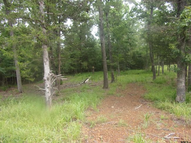 944 Whipporwill Dr, Home with 0 bedrooms, 0 bathrooms and null parking in Murchison TX | Image 4