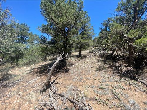 142 17th Trl, Cotopaxi, CO, 81223 | Card Image