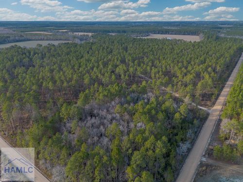 Tract 5 Reddish Rd, Odum, GA, 31555-6598 | Card Image