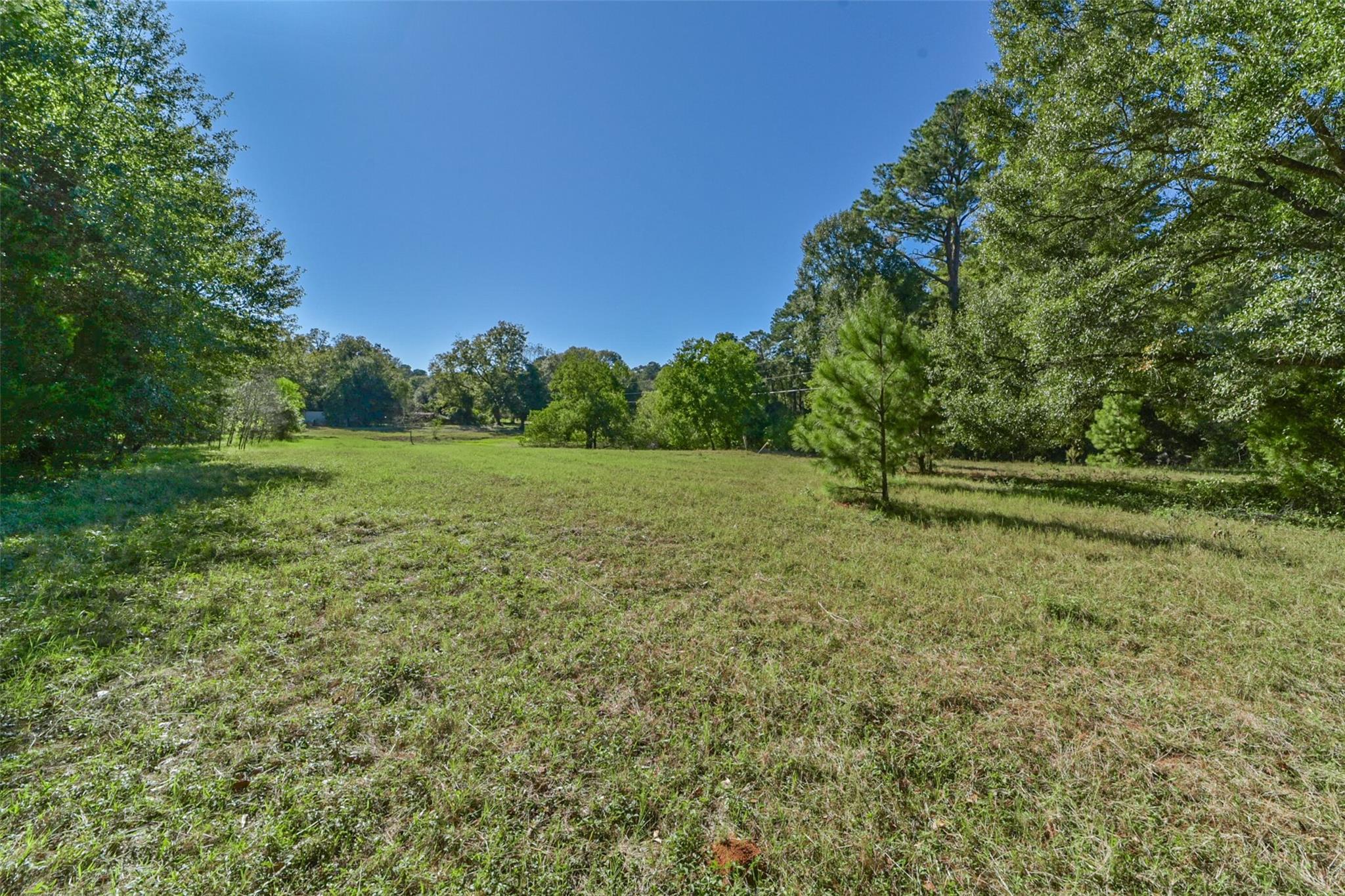 Land in New Waverly 5