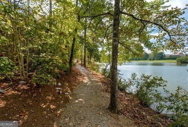 405 Laurel Spring Ct, House other with 4 bedrooms, 3 bathrooms and null parking in Canton GA | Image 110