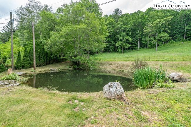 Pond at 2nd Home | Image 35