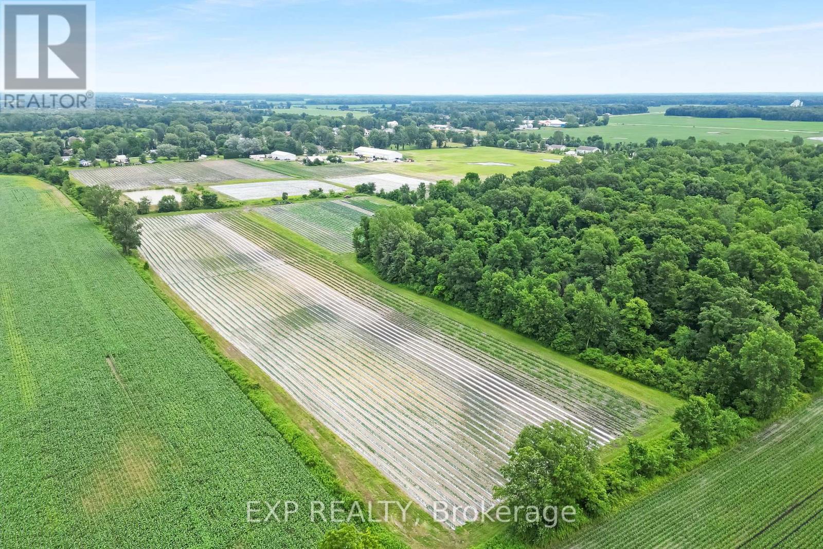 Land in Newbury 4