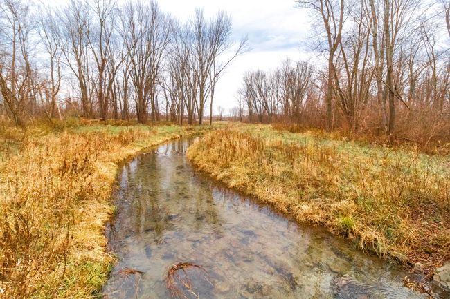 Bottom Creek | Image 9