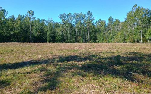 TBD County Road 132, Live Oak, FL, 32060 | Card Image