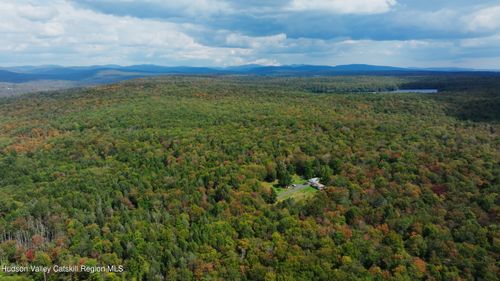 480 Breezy Hill Rd, Parksville, NY, 12768-6607 | Card Image