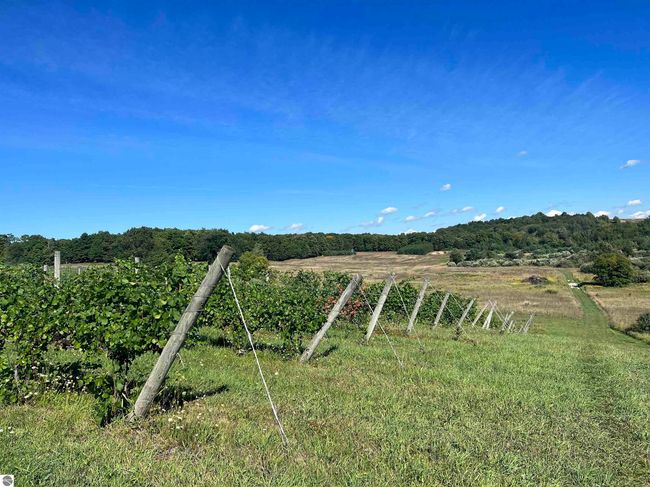 4499 S Schomberg Rd, Home with 0 bedrooms, 0 bathrooms and null parking in Cedar MI | Image 8