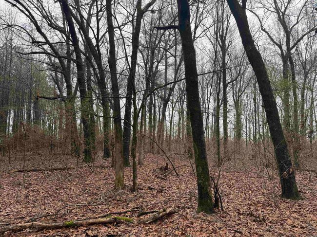 000 Ashley Road 912, Home with 0 bedrooms, 0 bathrooms and null parking in Hamburg AR | Image 25