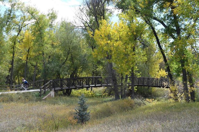 Open space, on community-adjacent Bear Creek Greenbelt | Image 16