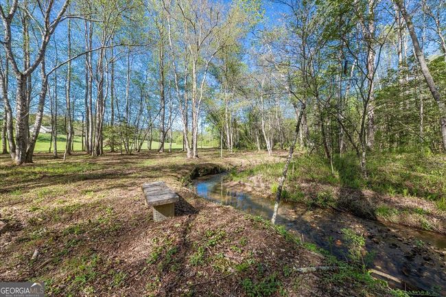 812 Lickskillet Rd, House other with 4 bedrooms, 3 bathrooms and null parking in Epworth GA | Image 40