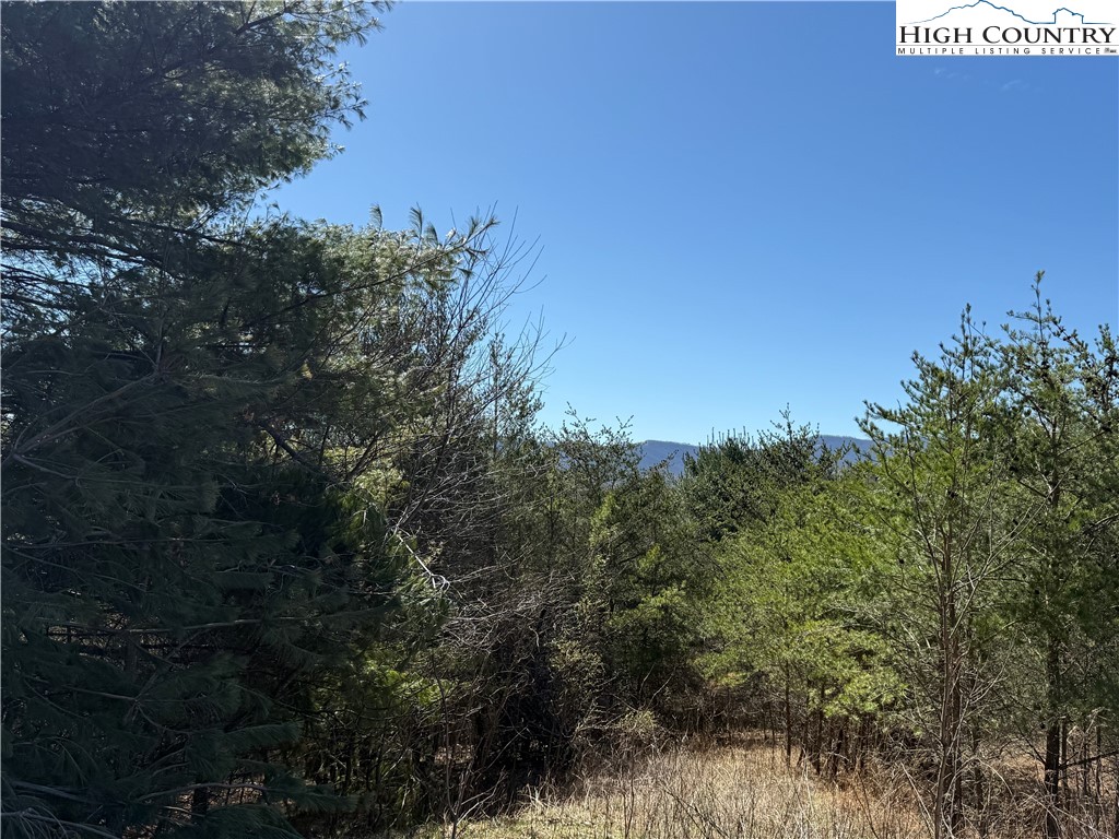 Land in Sparta 2