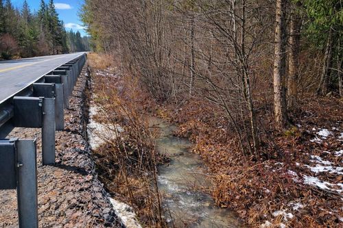 43XX E Deer Lake Rd, Loon Lake, WA, 99148 | Card Image