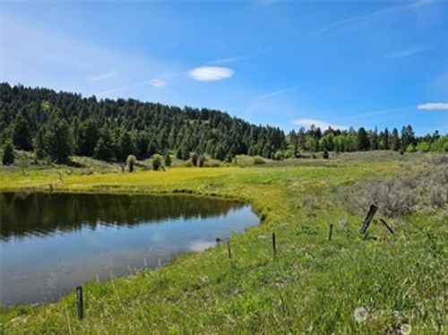 166 Mary Ann Creek Rd, Oroville, WA, 98844-9630 | Card Image