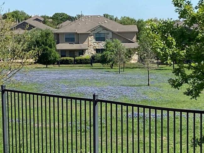 Greenbelt view from the backyard | Image 24