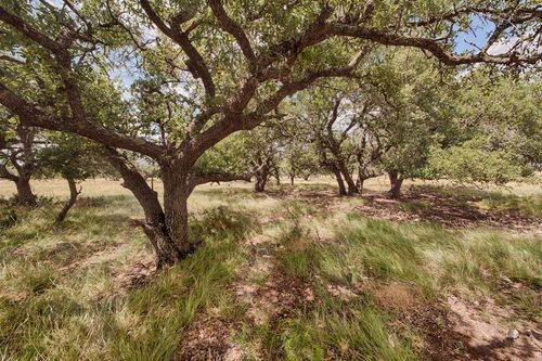 Lot 124 Oryx View Drive, Harper, TX, 78631 | Card Image