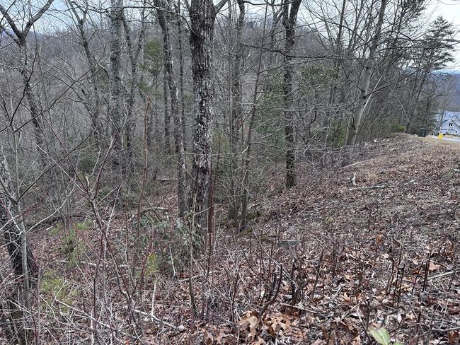 235 Andes Rdg, Home with 0 bedrooms, 0 bathrooms and null parking in Ellijay GA | Image 15