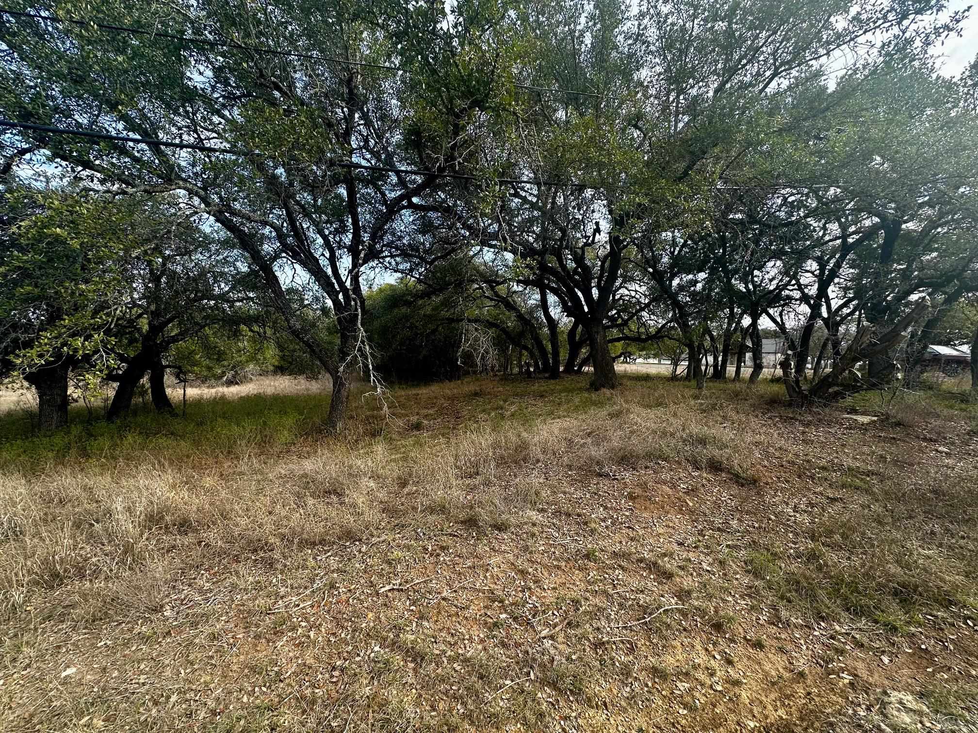 Land in Spicewood 5