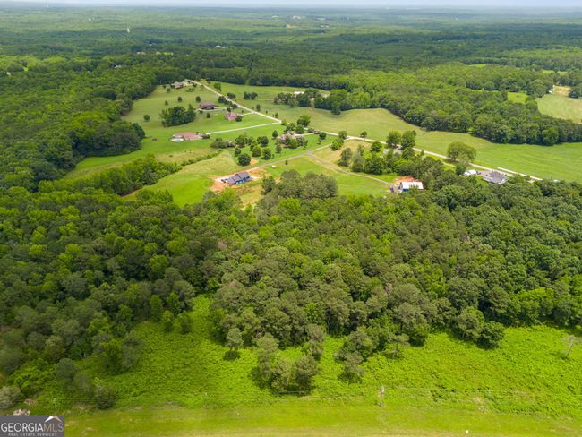 TRACTS 1-7 27 S Hwy., Home with 0 bedrooms, 0 bathrooms and null parking in Carrollton GA | Image 7