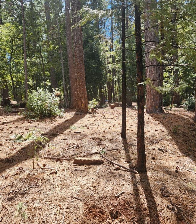 11254 Winding Way, Home with 0 bedrooms, 0 bathrooms and null parking in Clipper Mills CA | Image 16
