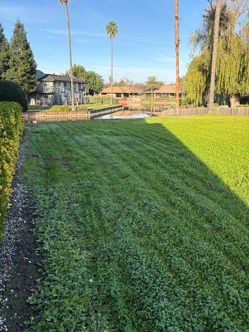 6 Lookout Ct, Sacramento, CA, 95831-1420 | Card Image