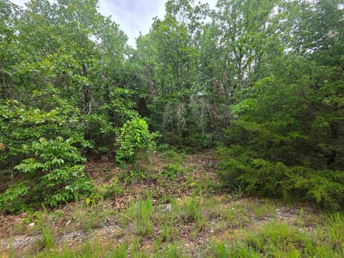 L-10, B-4 Arizonac Drive, Cherokee Village, AR, 72529 | Card Image