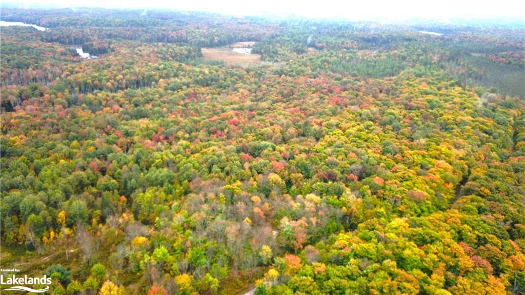 0 Star Lake Rd, For Sale in Sprucedale eXp Realty