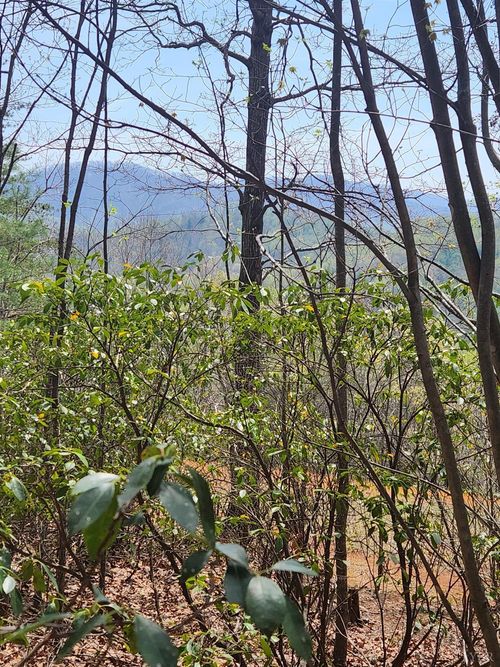 303 Harrison Creek Rd, Amherst, VA, 24521-4180 | Card Image