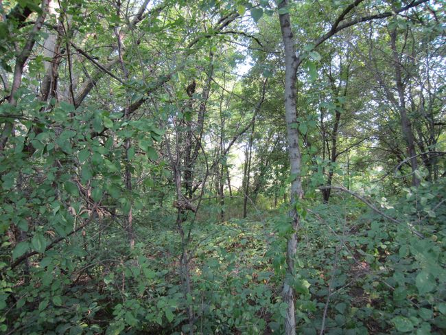 3 Kettle River Boulevard Ne, Home with 0 bedrooms, 0 bathrooms and null parking in Columbus MN | Image 13