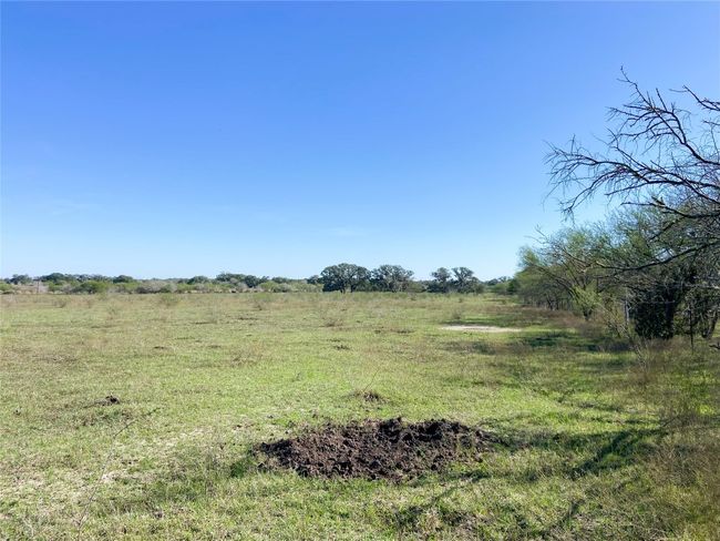 Another view of the brush line from west side of property | Image 21