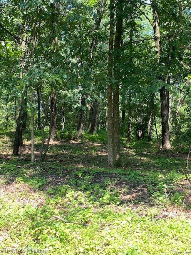 6 Sleaford Parcel 6   2.1 Acres Road, Home with 0 bedrooms, 0 bathrooms and null parking in Howell Township MI | Image 44
