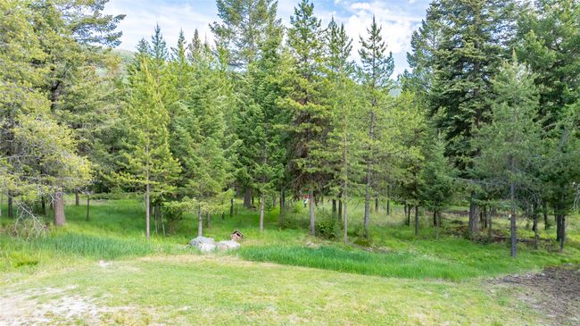 View of yard featuring a wooded view | Image 108