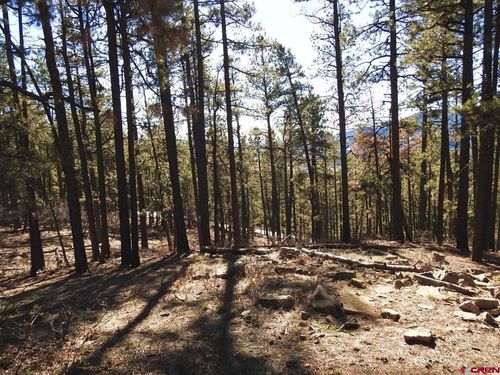 122 Timber Dr, Bayfield, CO, 81122-9288 | Card Image