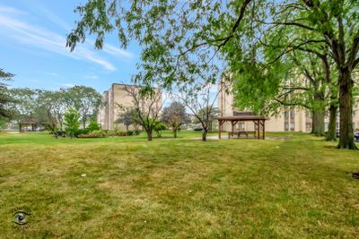 309 - 9725 S Karlov Avenue, Condo with 2 bedrooms, 1 bathrooms and 1 parking in Oak Lawn IL | Image 2