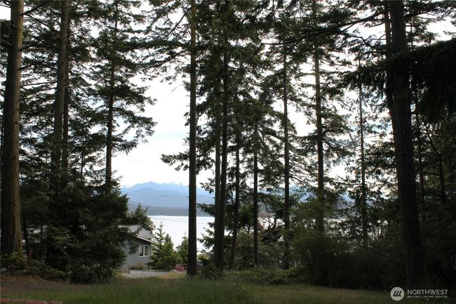85 Quinault Loop, Home with 0 bedrooms, 0 bathrooms and null parking in Port Townsend WA | Image 13