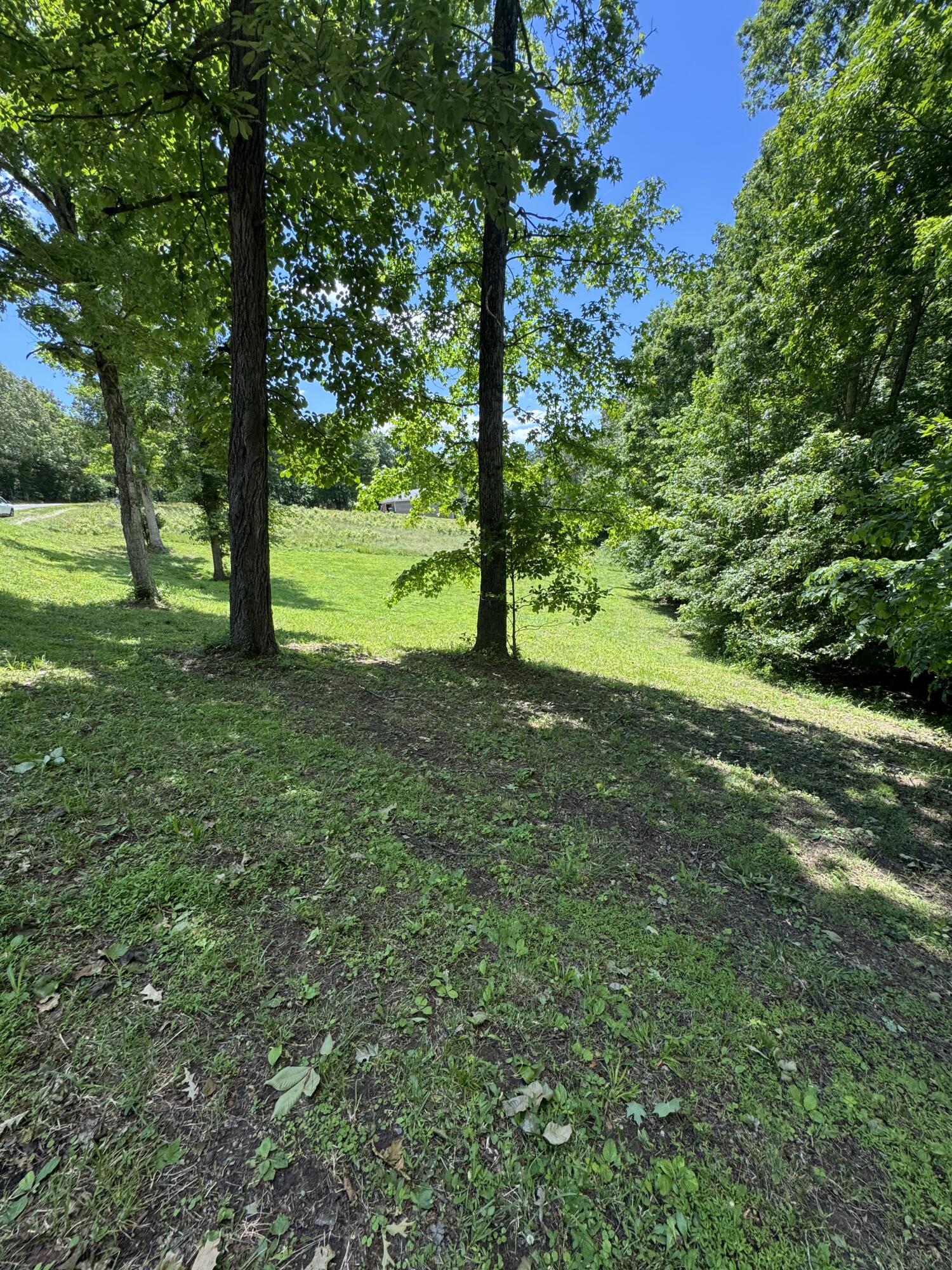 Land in Kuttawa 2
