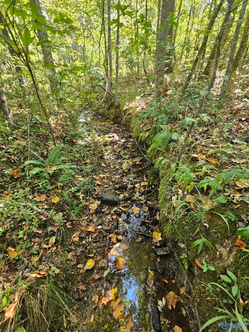 001 Gunnells Rd, Jacksonville, AL, 36265-6393 | Card Image