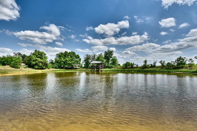 Pond | Image 28