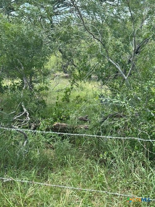 TBD Dowdy Rd, Kingsbury, TX, 78638 | Card Image
