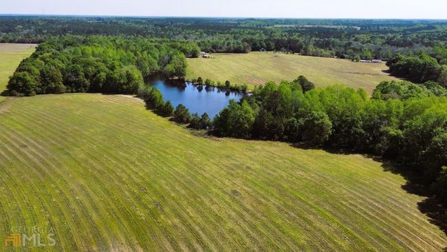 10519 Edenfield Rd, House other with 4 bedrooms, 2 bathrooms and null parking in Metter GA | Image 9