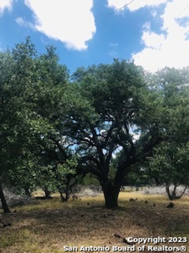 26 Mustang Crossing Dr, Home with 0 bedrooms, 0 bathrooms and null parking in Pipe Creek TX | Image 13