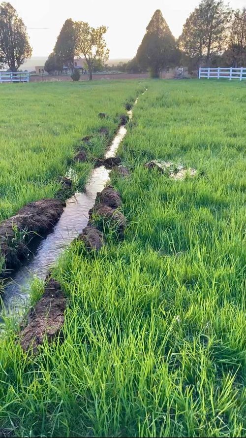 11 Camino De Adelaida Los Pinos Park, Arroyo Seco, NM, 87514 | Card Image