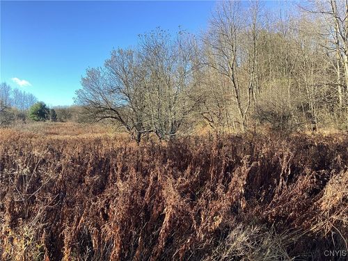 00 Blue Rd, Barneveld, NY, 13304 | Card Image